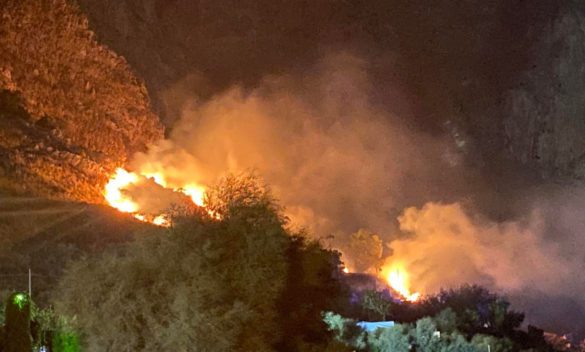 «Ho dato fuoco alla montagna»: i messaggi inchiodano Ficano il presunto incendiario di Palermo