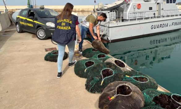 Pesca di frodo 5 mila ricci di mare, sub multato a Licata