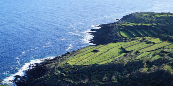 Spiagge, la Sicilia per la prima volta resta senza le Cinque Vele: perdono terreno Pantelleria e Salina