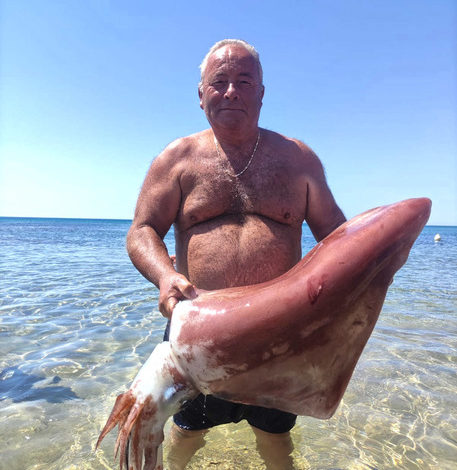 Trapani, ein 60-jähriger Angler, apportiert einen Riesenkalmar